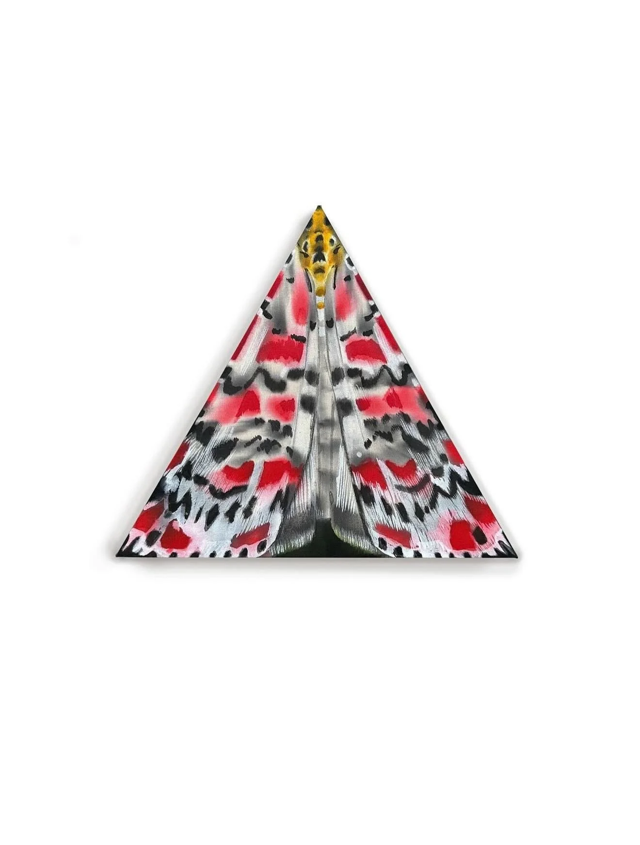 Moth paintings and night &lsquo;Mothing&rsquo; events by Ash Ferlito @ashferlito 

Ash conducts &lsquo;mothing&rsquo; events, inviting people to observe insects on sculptural mothing stations she makes and illuminates with special lights.
 The projec