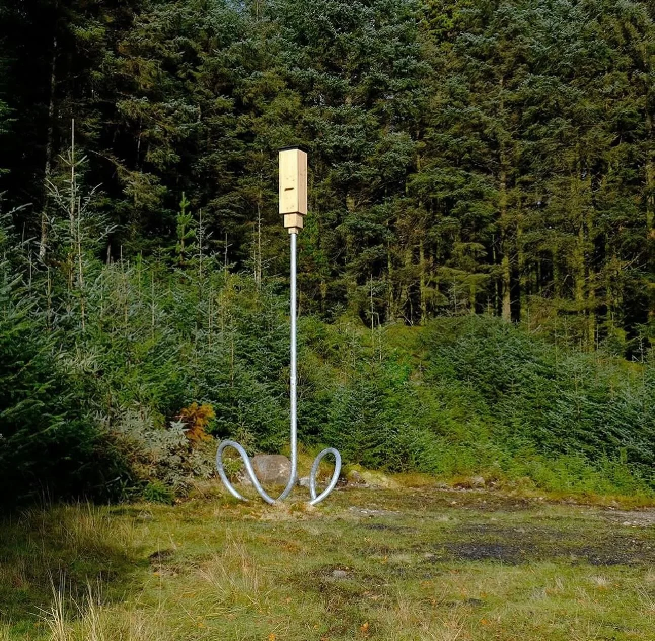 @lauranifhlaibhin 
Teach lalt&oacute;g, (Bat house)

&ldquo;Back in November, Teach lalt&oacute;g came into being and is now settling into Wild Nephin National park @wildnephin_official This is my first public sculpture, out in the elements, Teach la