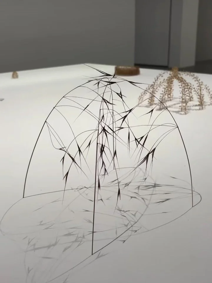 Selection of works by @christiane.loehr 
&ldquo;The sculptor Christiane L&ouml;hr surprises us with a peculiar courage to go small. Instead of grand gestures and expansive installations, her meticulously constructed, miniature sculptures, made from w