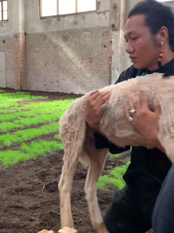 @sheyang_sibo 
Let poetry return to the gut 2023
&ldquo;In the spring of 2023, I purchased 20 tons of soil from the Jinye Shuonuo Mountain Range in Liangshan Yi Autonomous Prefecture, transported from Wenjiang Flower Market in the suburbs of Chengdu,