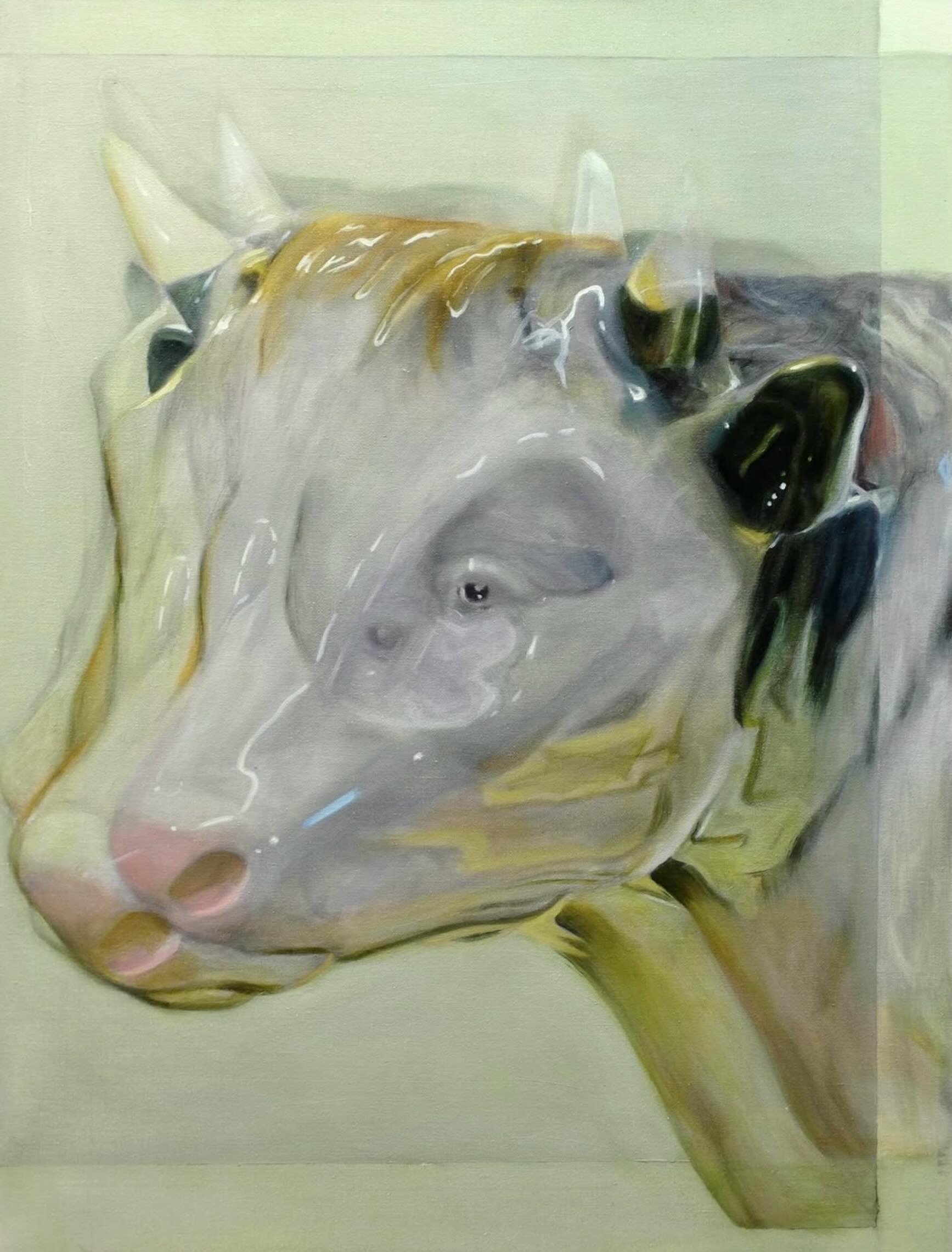 @colinmurphy.art showing @rha.arts 
Bull
40x50cm oil on canvas