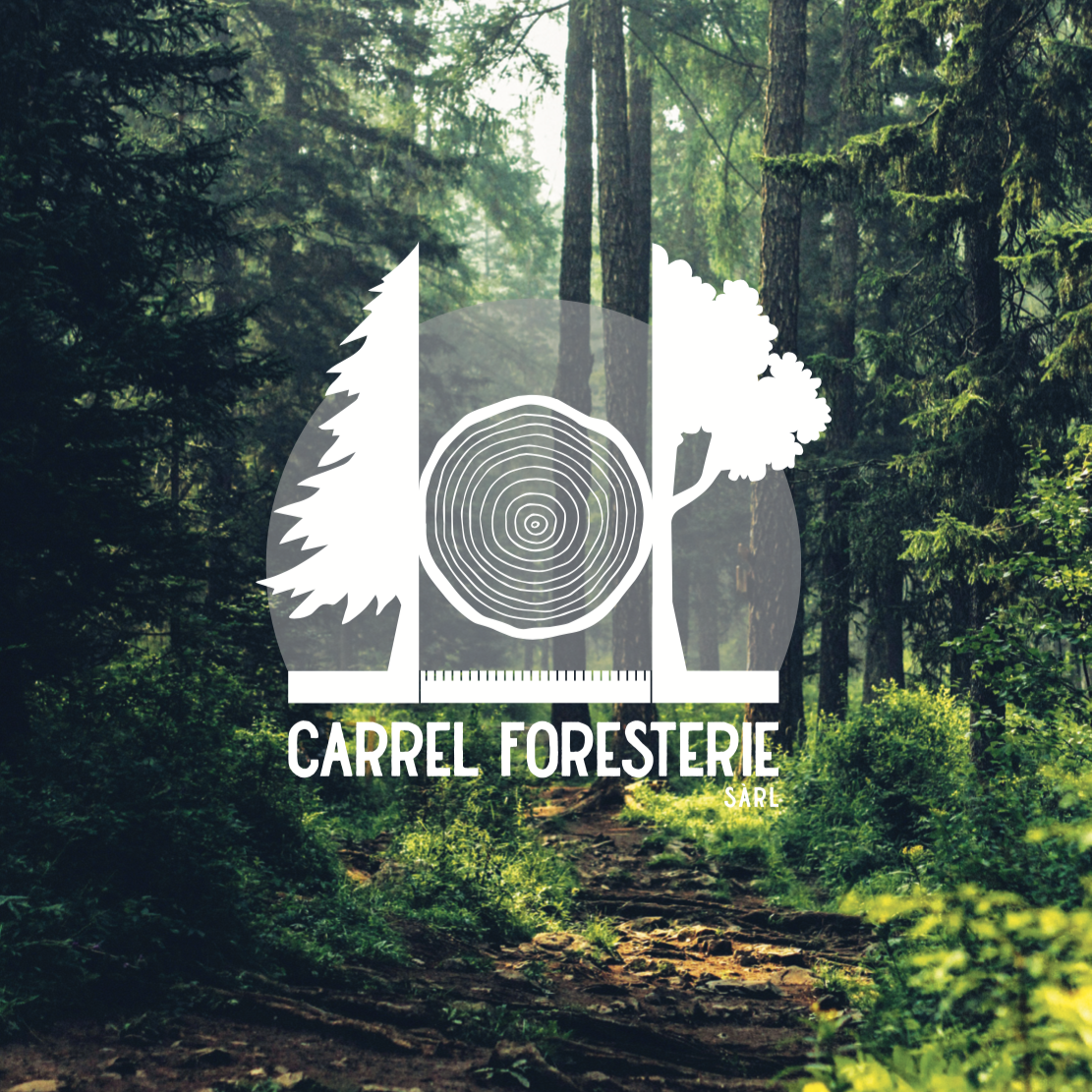 forêt_carrel.png
