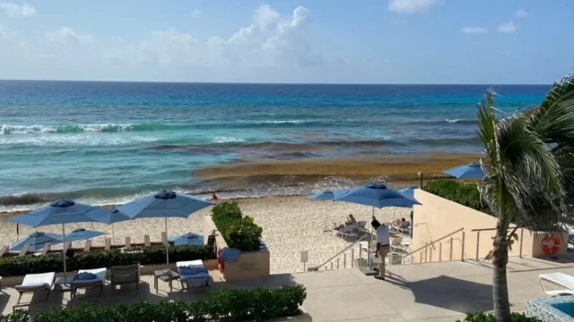 Sargassum. Could it ruin your trip?