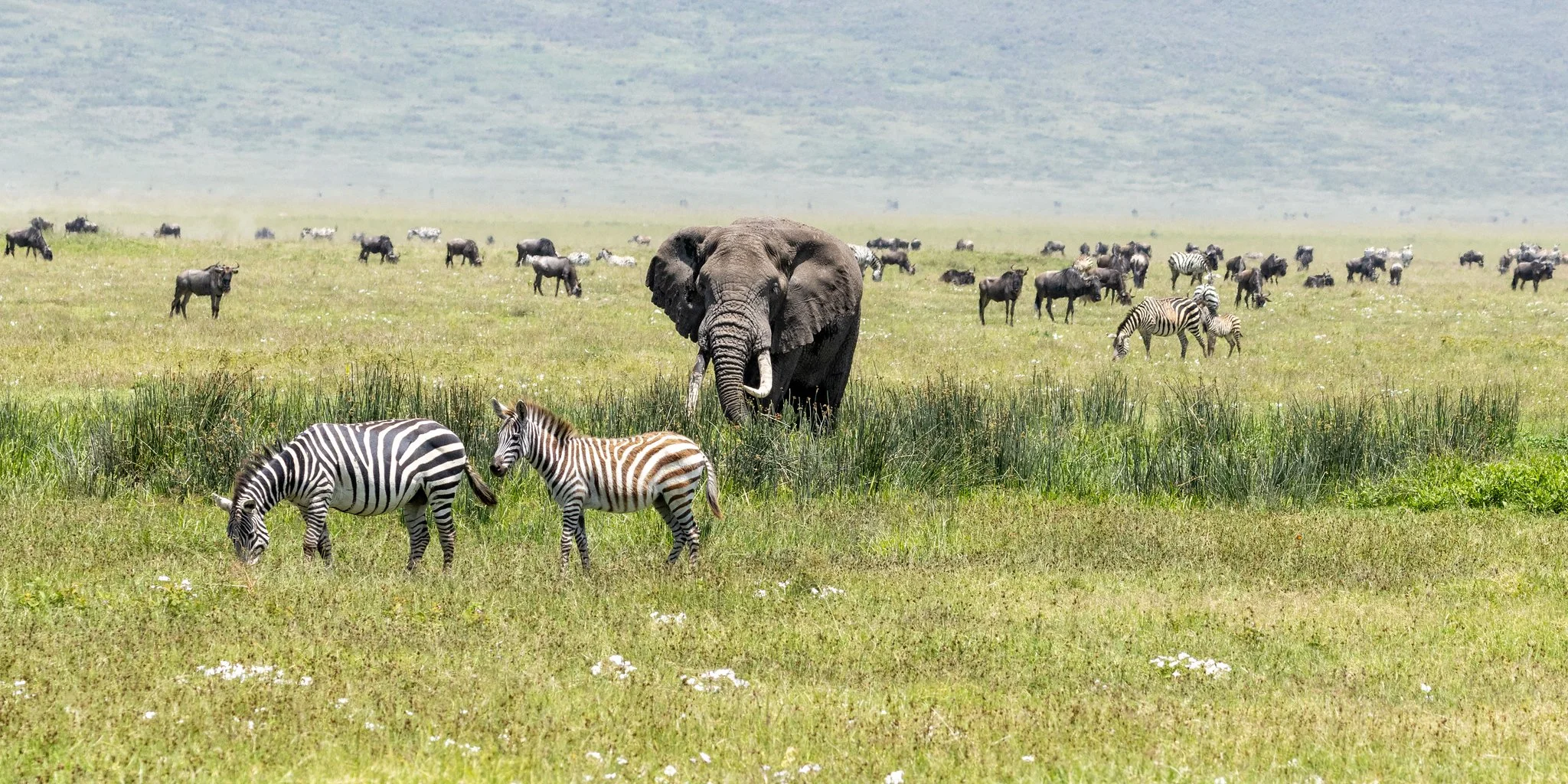 Africa Is Not a Trip You Take — It’s an Experience That Changes You