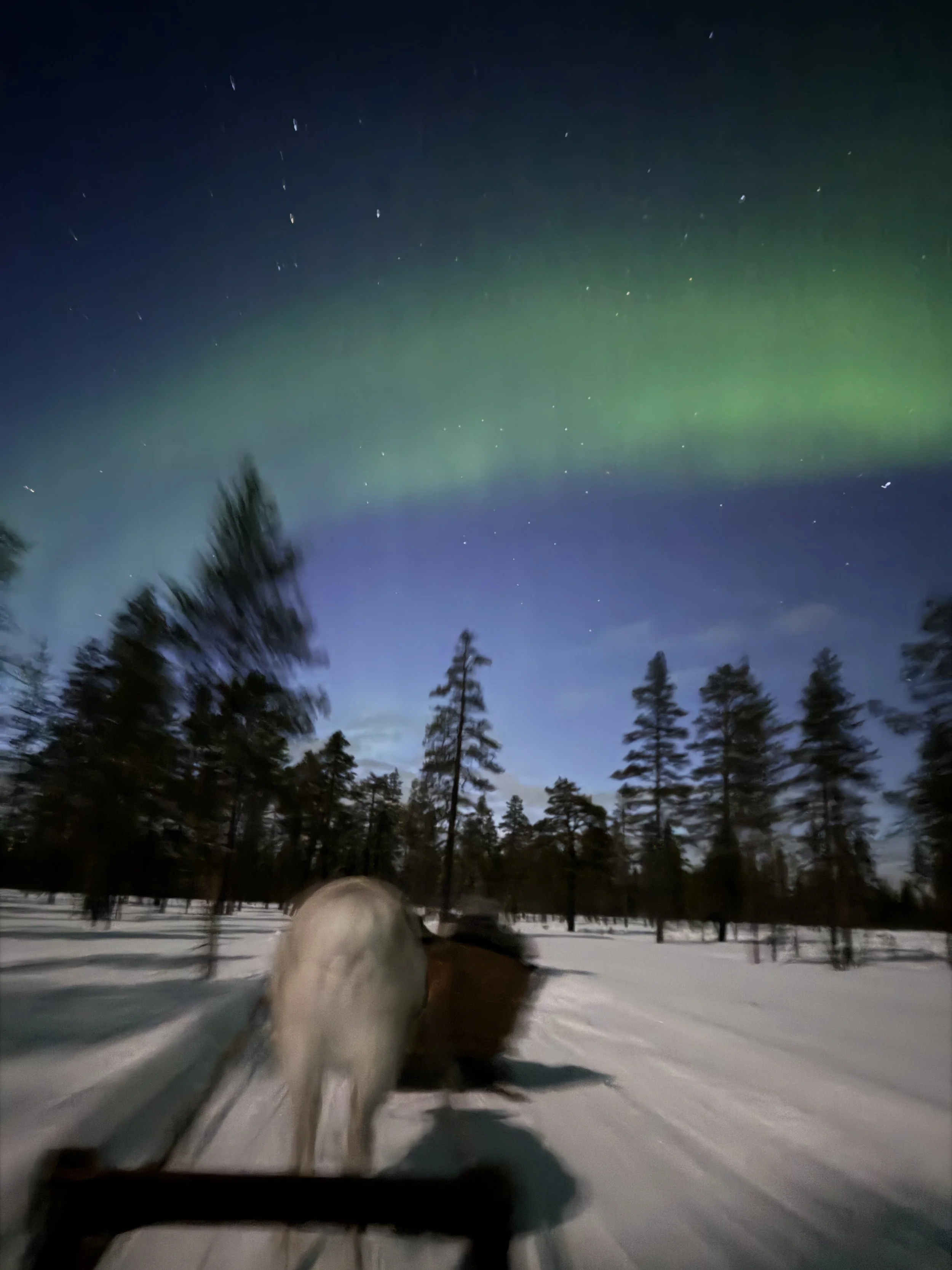 Finland: A Journey That Quietly Changes You