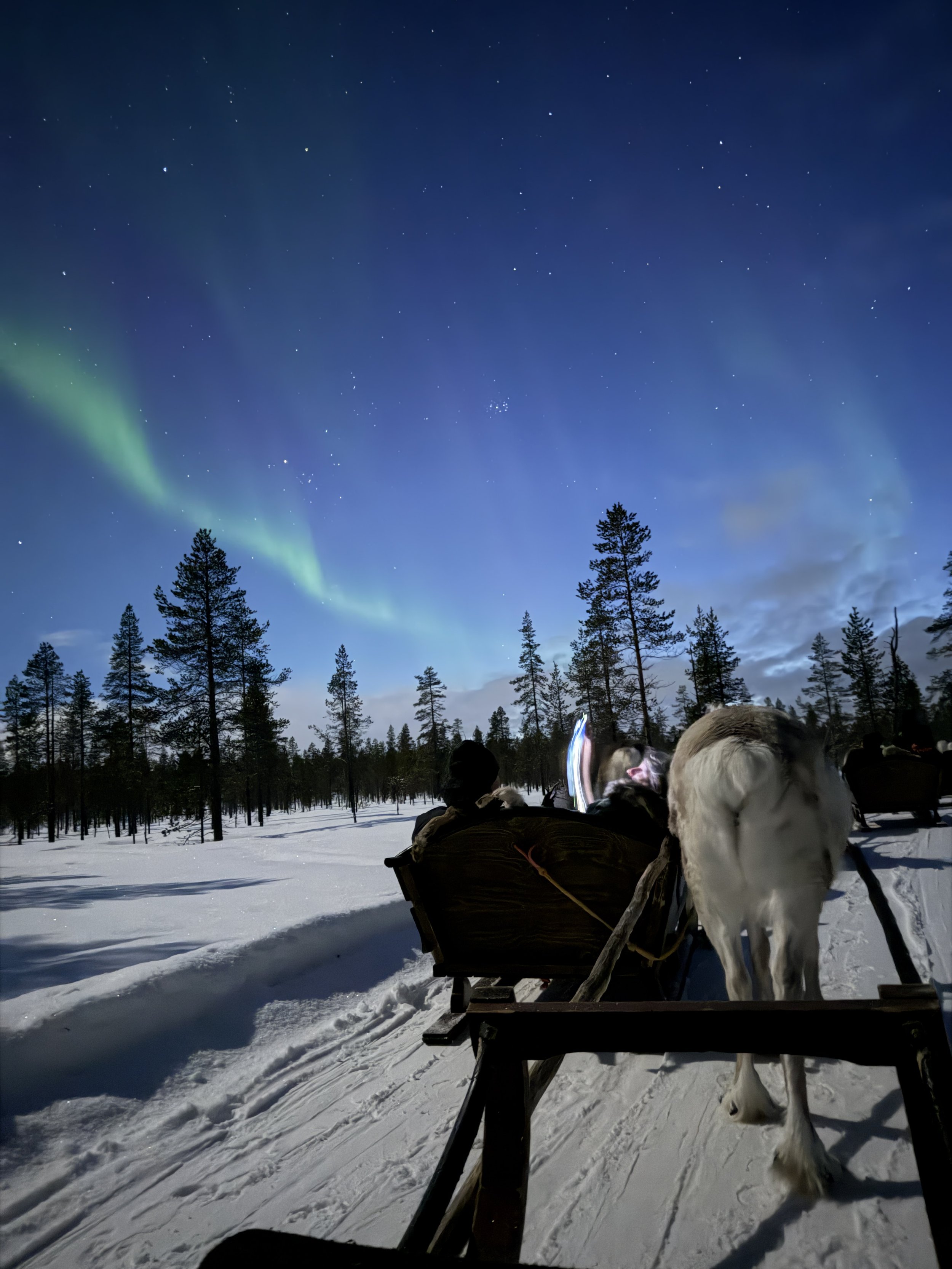 The Next Big Travel Trend Is Looking Up