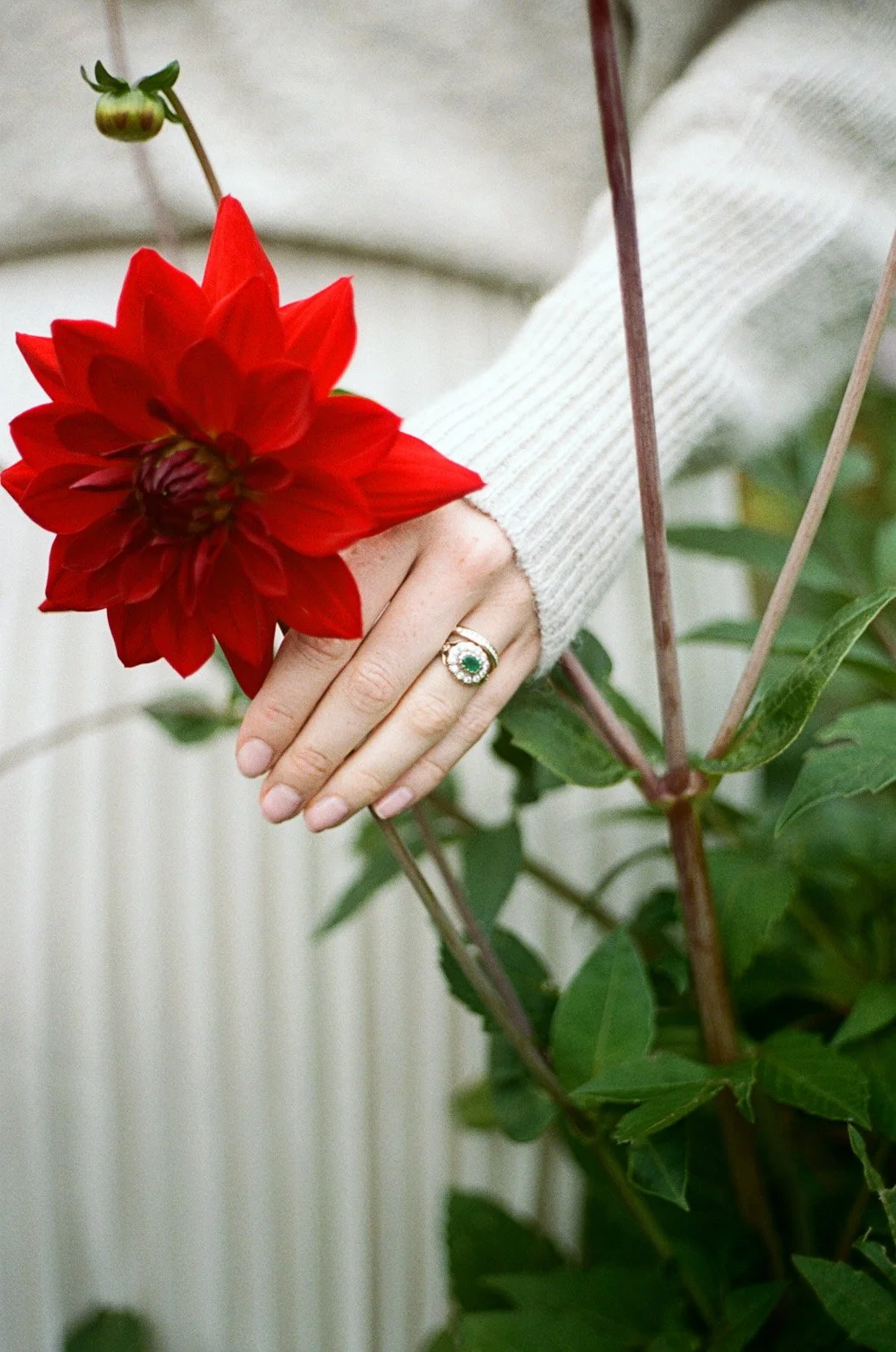 Rings_5.jpg
