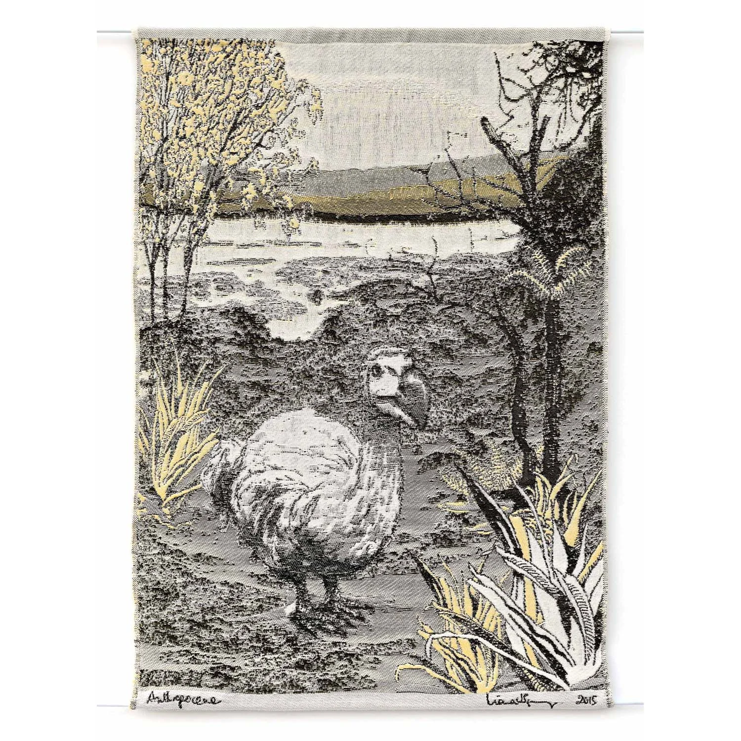 Anthropocene, Dodo Raphus cucullatus