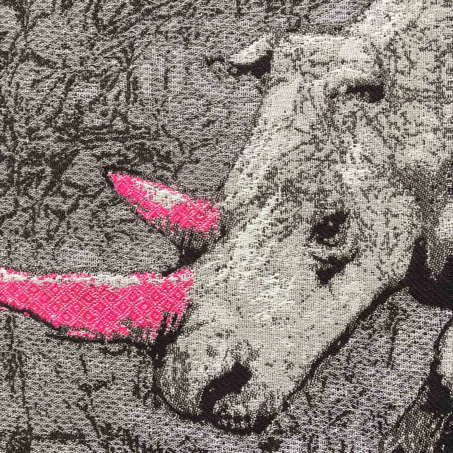 black rhino Fiona J Sperryn.jpg