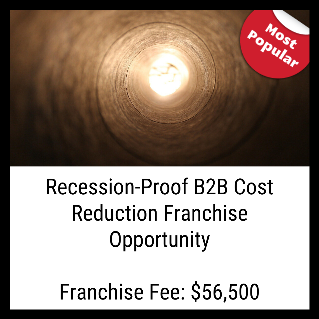 Recession-Proof B2B Cost Reduction Franchise
