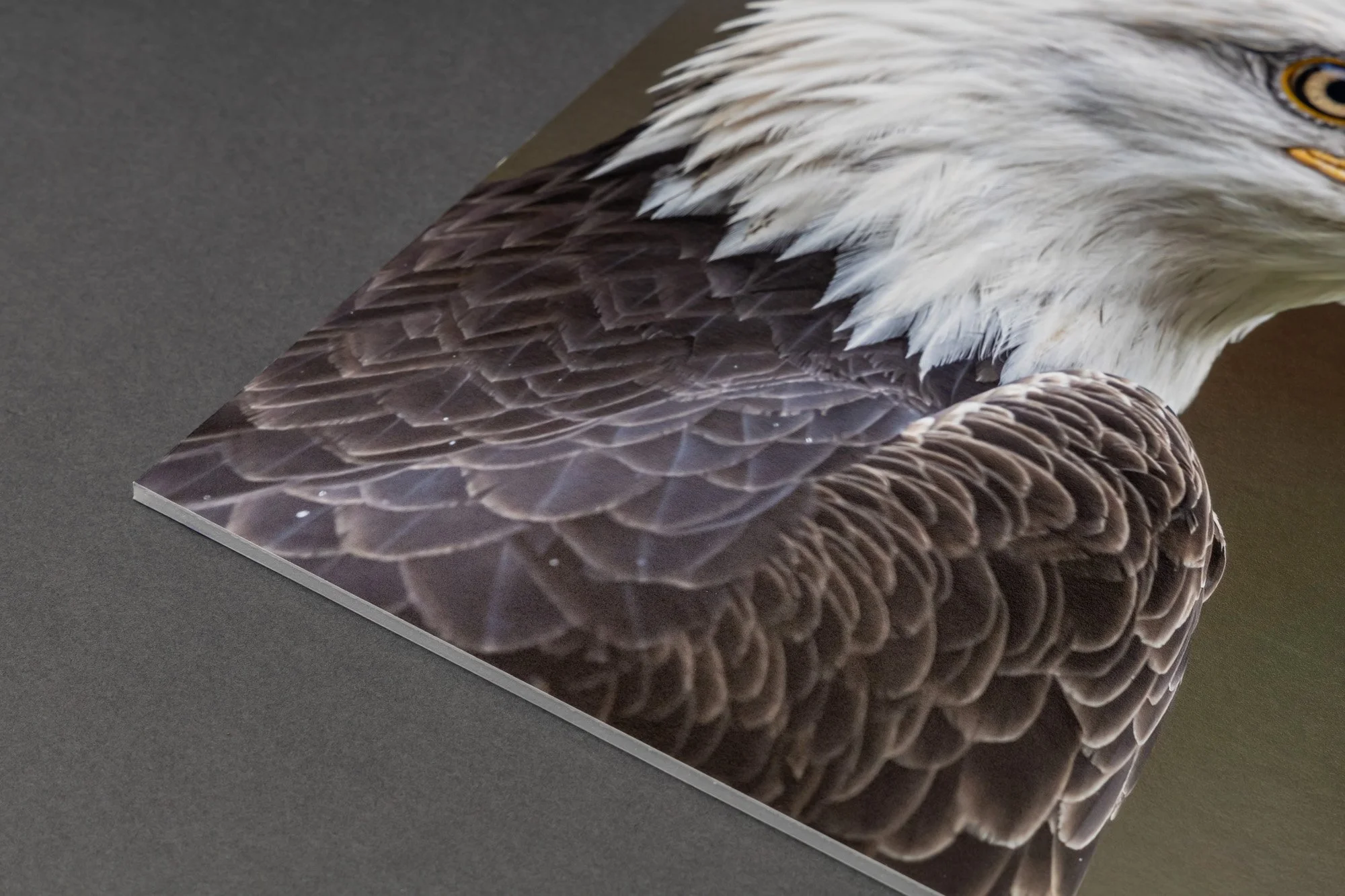 Fine Art & Photo Printing Fine Line Supply Co.