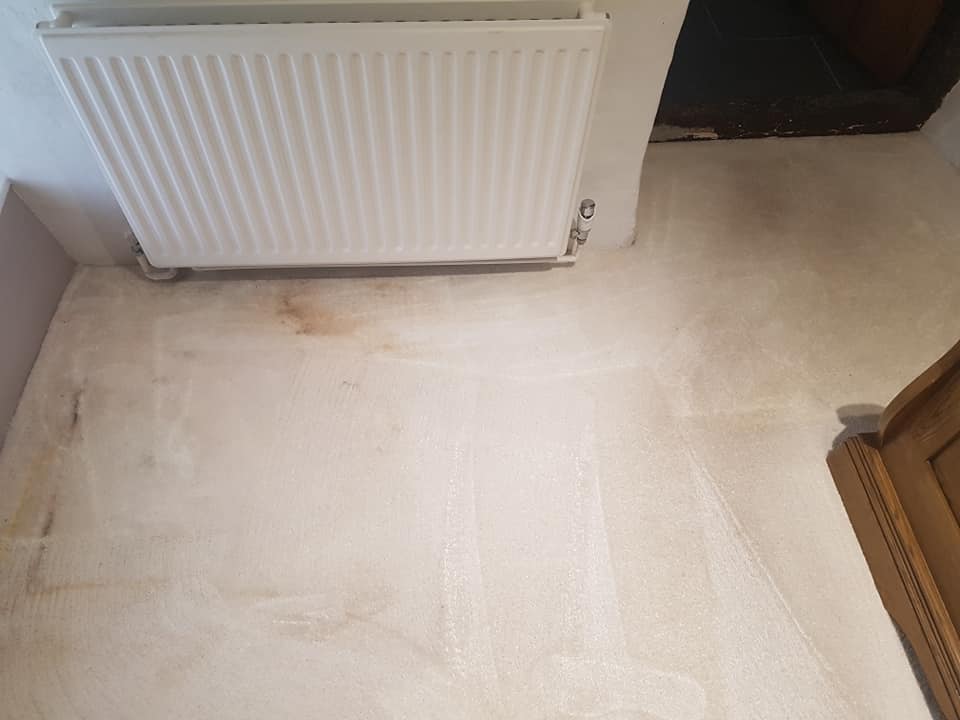 Radiator leak.jpg