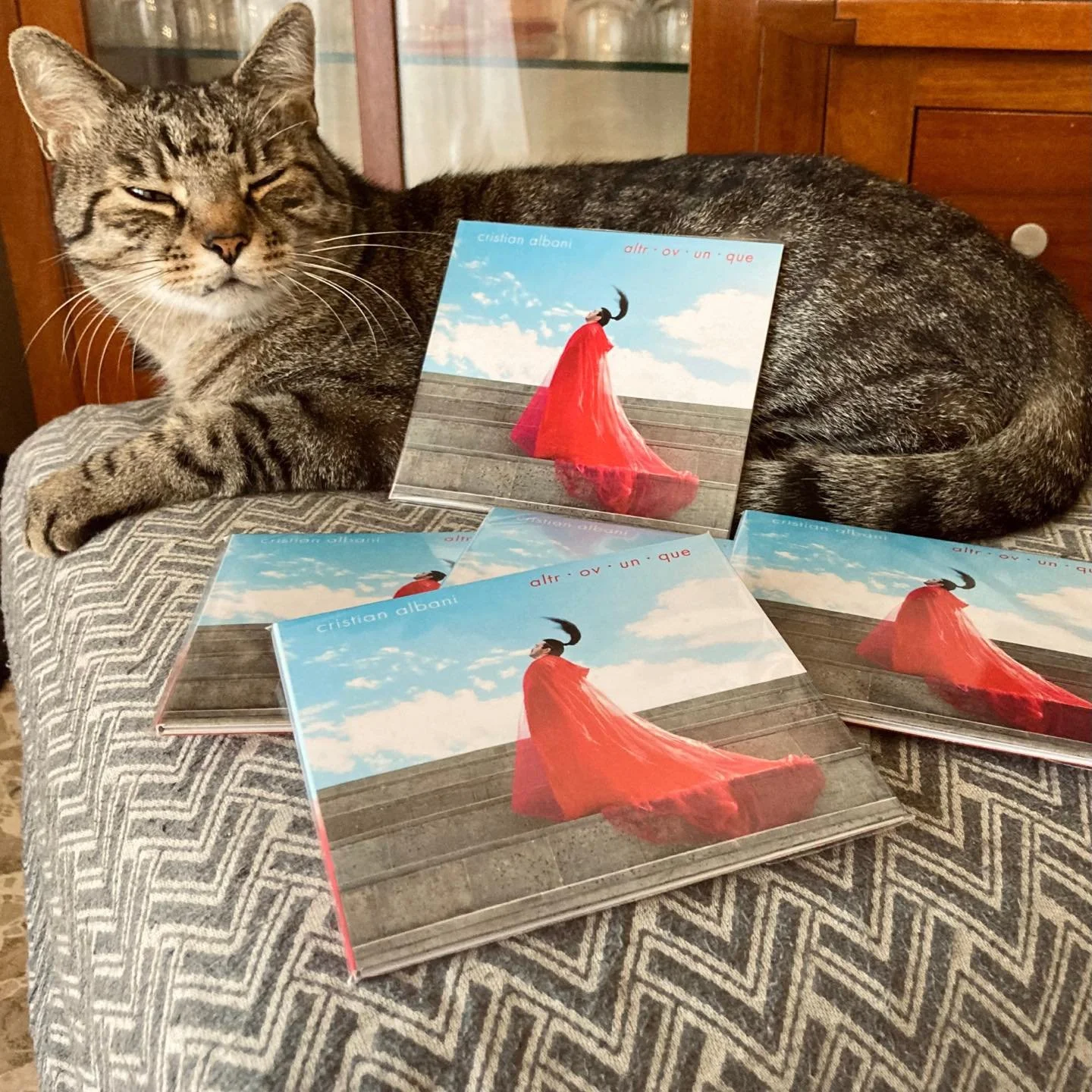 Fai come questo felino assonnato, sfoggia anche tu il tuo CD di #Altrovunque mettendoti in una posa piccina picciò, in modo che in proporzione si trasformi in un discone in vinile anche se non lo è! 
E la cosa più bella è