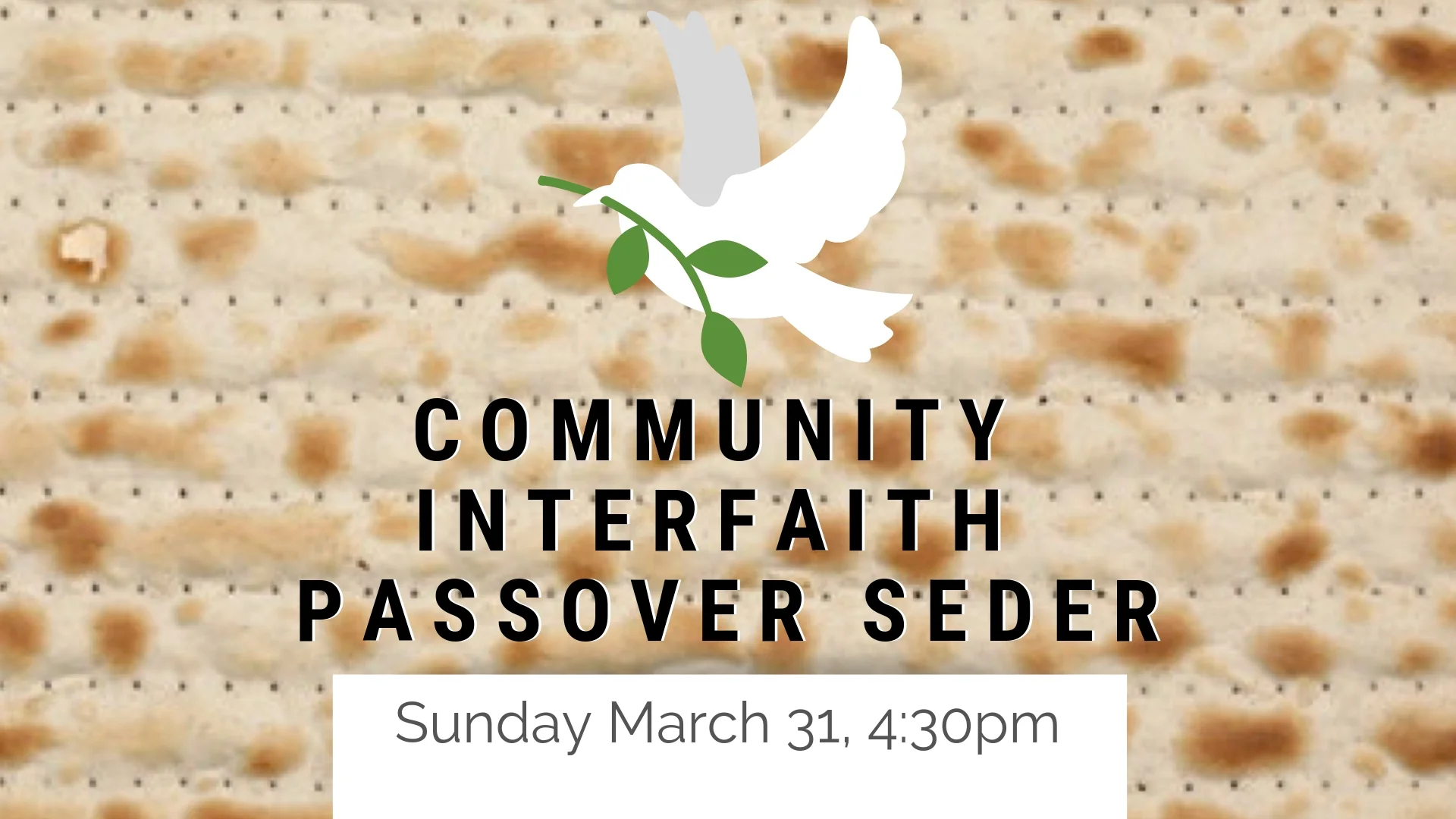 WEB Copy Passover.jpg