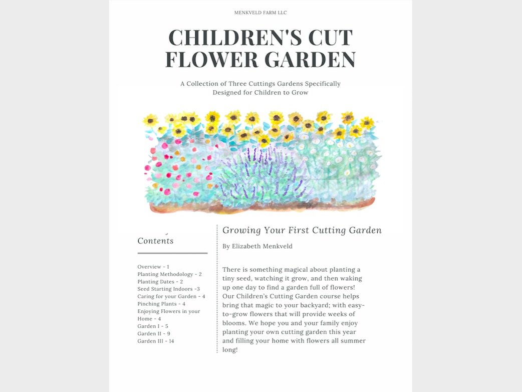 Children%27s+Cut+Flower+Garden+Web+Image.jpg