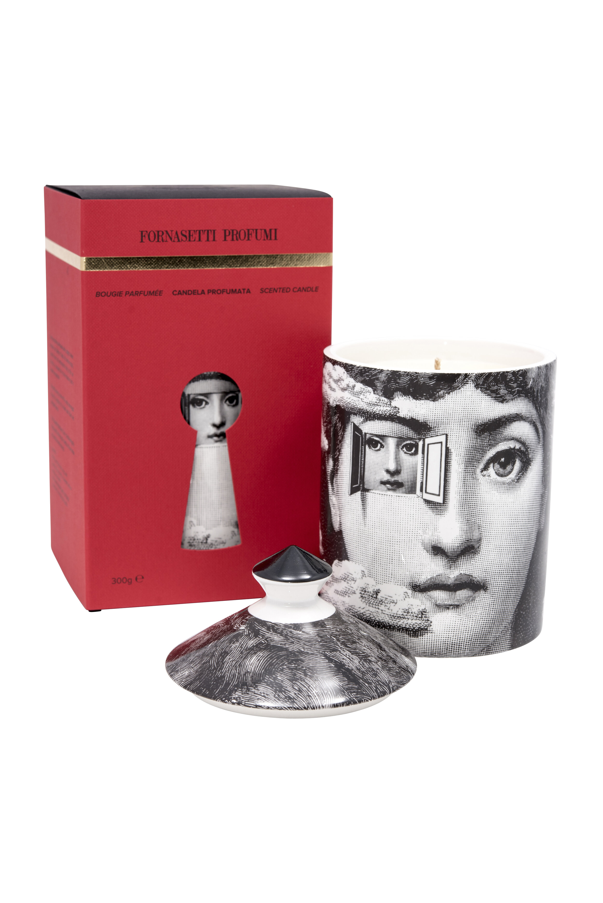 metafisicap copy.jpg