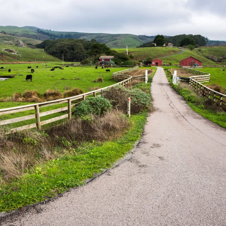 farm-1024x758.jpg