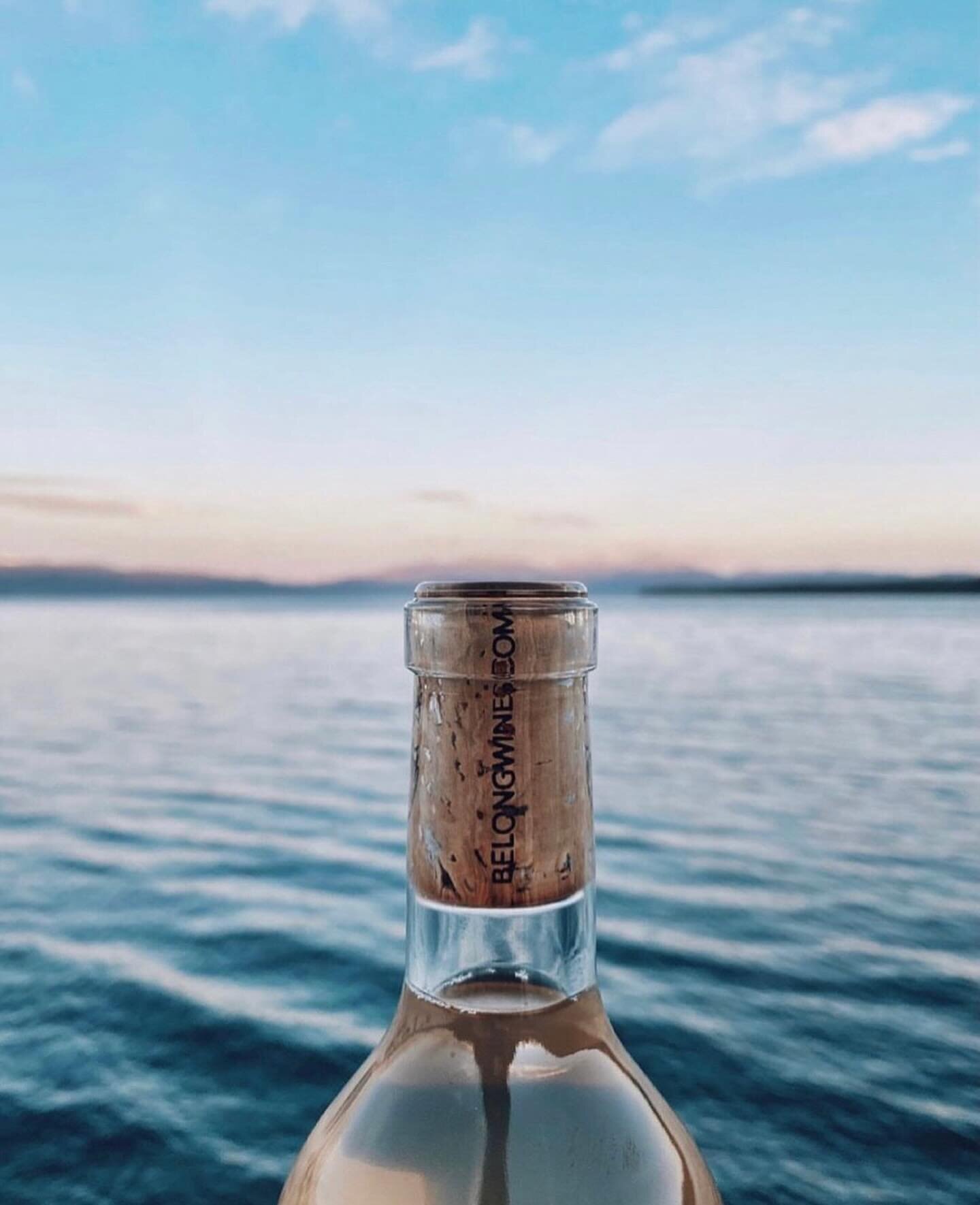 &ldquo;This tastes like today, like the first best day of the year&hellip;&rdquo; (things overheard at the party) 
⠀⠀⠀⠀⠀⠀⠀⠀⠀
Pour yourself a glass of joy with our &lsquo;Chasing the Sunset&rsquo; ros&eacute; 🌅
⠀⠀⠀⠀⠀⠀⠀⠀⠀
#FollowTheSun
.
.
.
#BelongWi