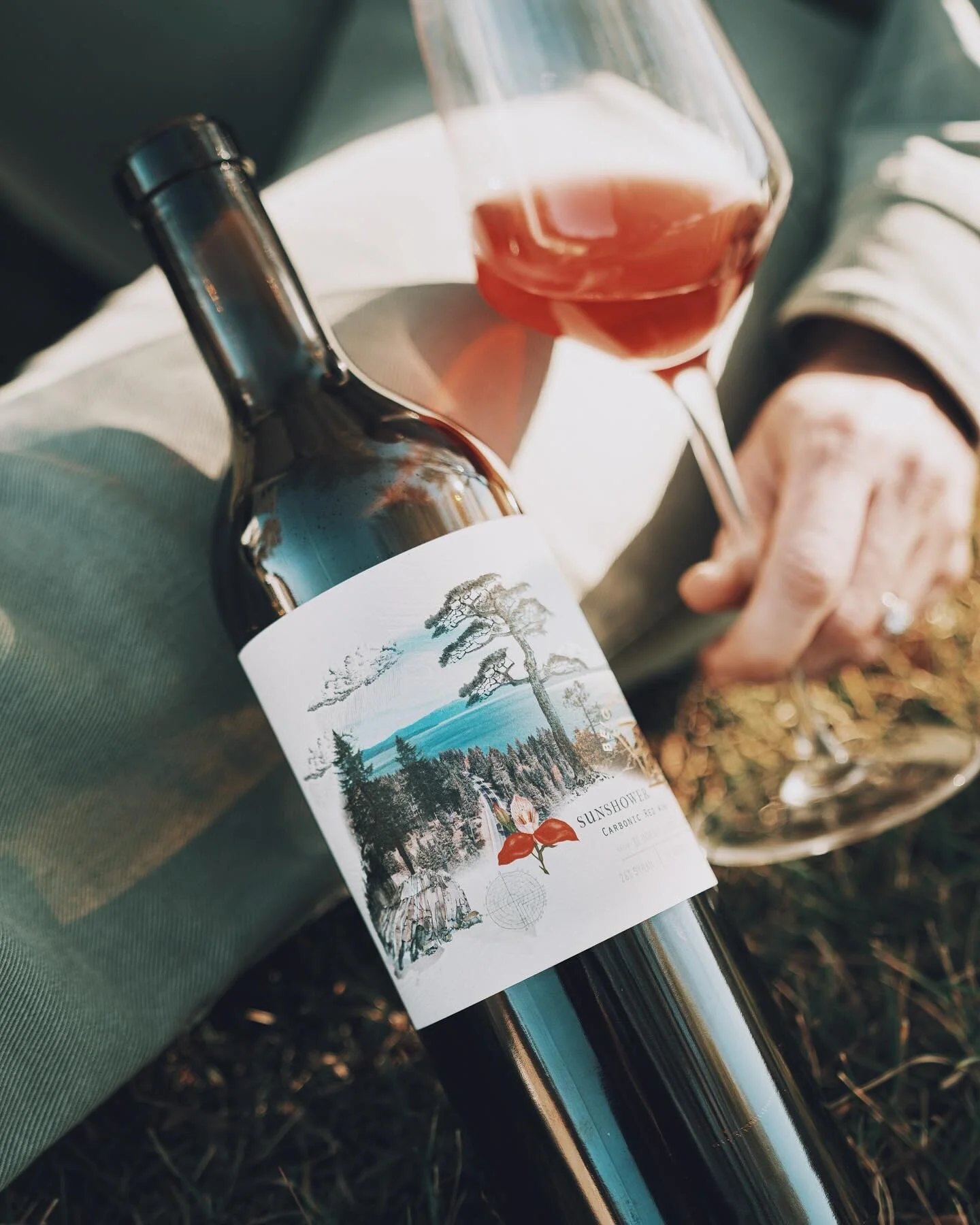 🌈NEW RELEASE🌈 2023 Sunshower Carbonic Red is easy to love, fun to share, and hard to hold onto&hellip; so be sure and stock up!

50% Mourv&egrave;dre&nbsp; |&nbsp; 23% Gamay Noir&nbsp; |&nbsp; 14% Cinsault&nbsp; |&nbsp; 13% Grenache

Smells like:
c