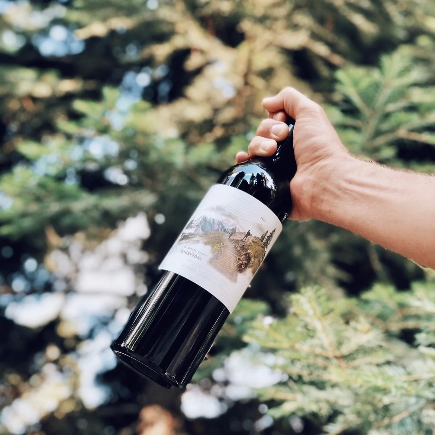 Mark your calendars ✨THIS FRIDAY /  06.07✨for Wine Country Unites 🍷
⠀⠀⠀⠀⠀⠀⠀⠀⠀
We&rsquo;re joining&nbsp;@winecountryunites&nbsp;and many friends in donating $10 of each bottle sold to&nbsp;@giffords_org&nbsp;to honor the memory of Evelyn Dieckhaus.
⠀