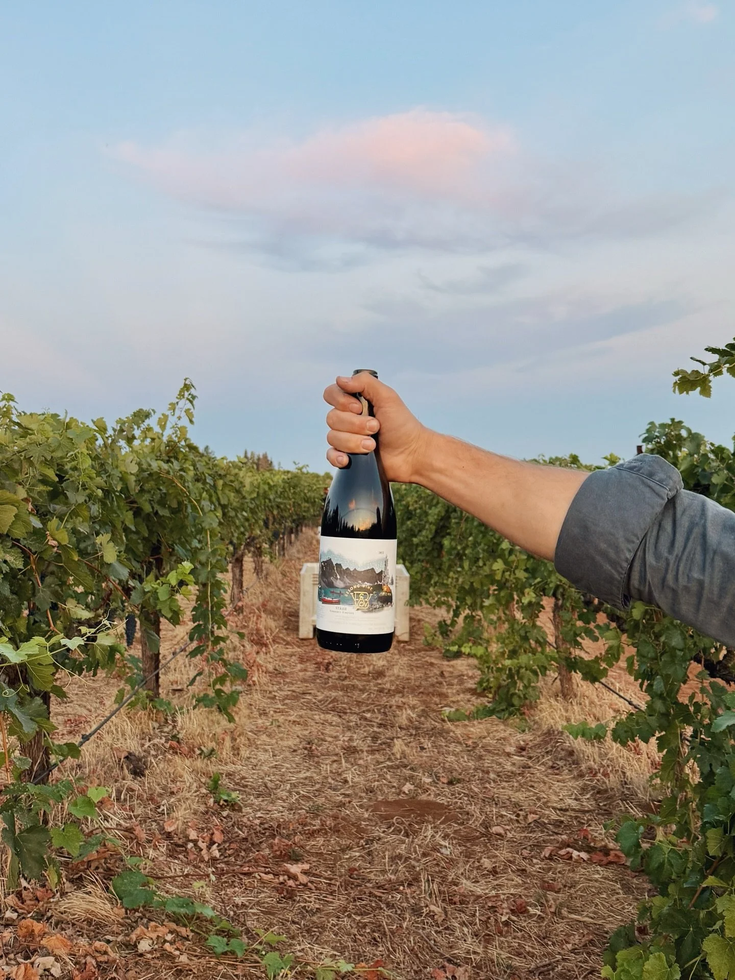 Our FALL RELEASE is officially here!

Featuring three new wines:

〰️ 2023 Fenaughty Vineyard Syrah
〰️ 2024 Barsotti Vineyard Gamay
〰️ 2023 &lsquo;Grand Prismatic&rsquo; Red (vol. 4 in our experimental series)

This release is especially close to our 