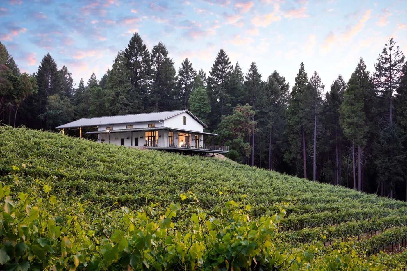 The Belong Summer Field Guide to El Dorado County
