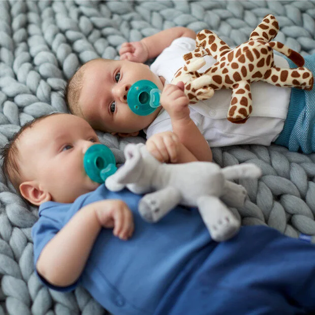 best animal pacifier holder