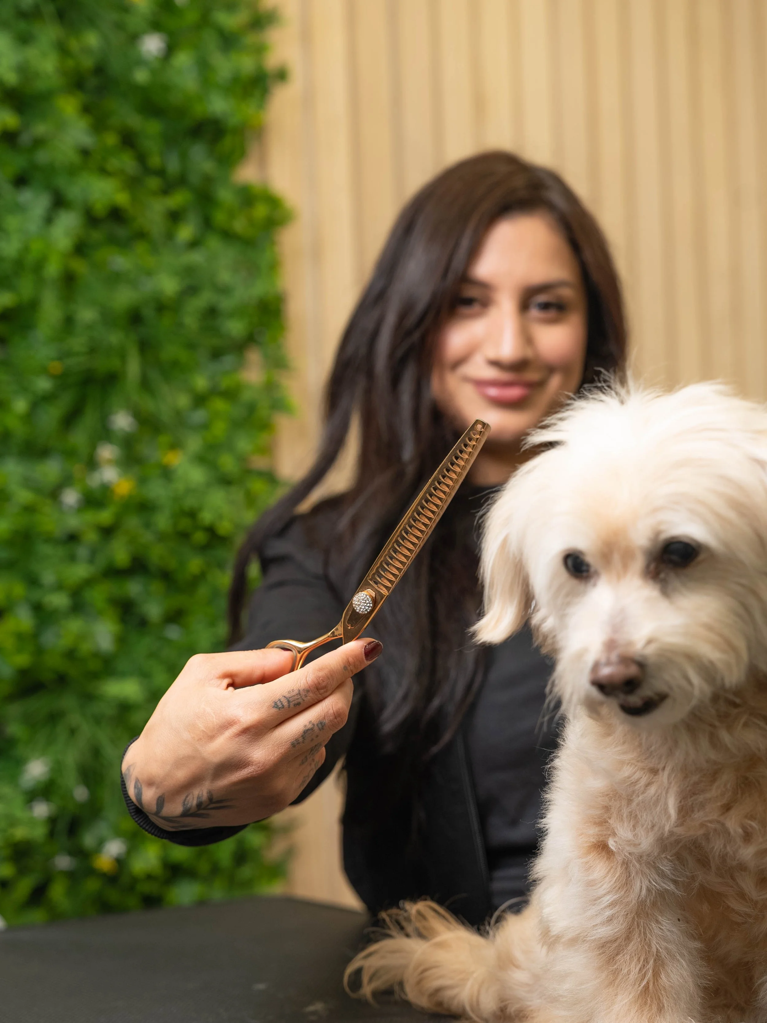 Paws At Main groomer with dog