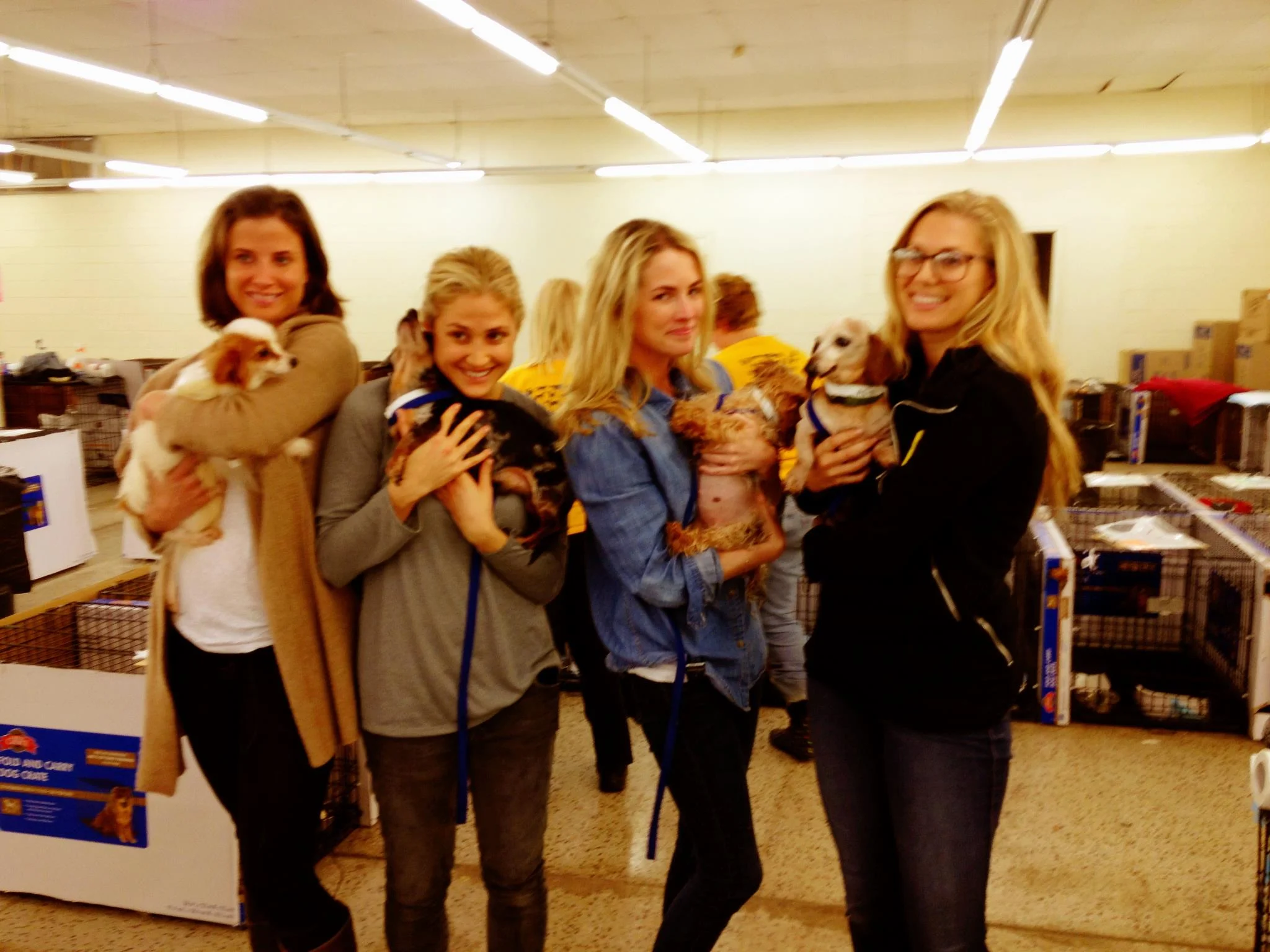 Amanda, Breanna, Lauren Schweibold & Kimberly Ovitz at a puppy mill raid in NC