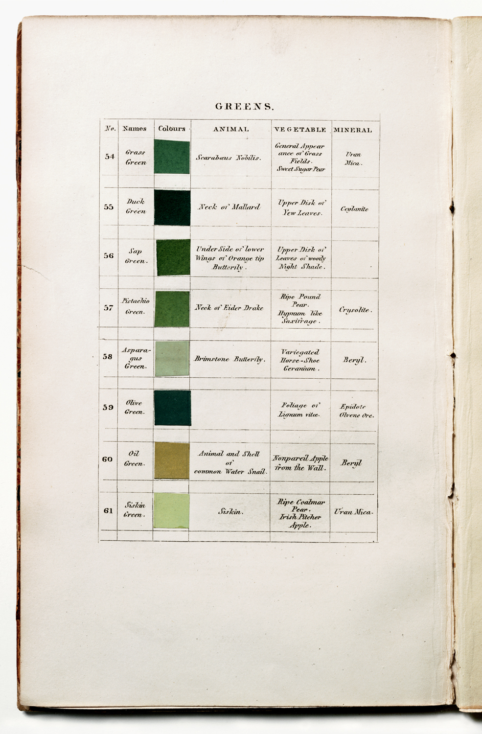 Werner's Nomenclature of Colours