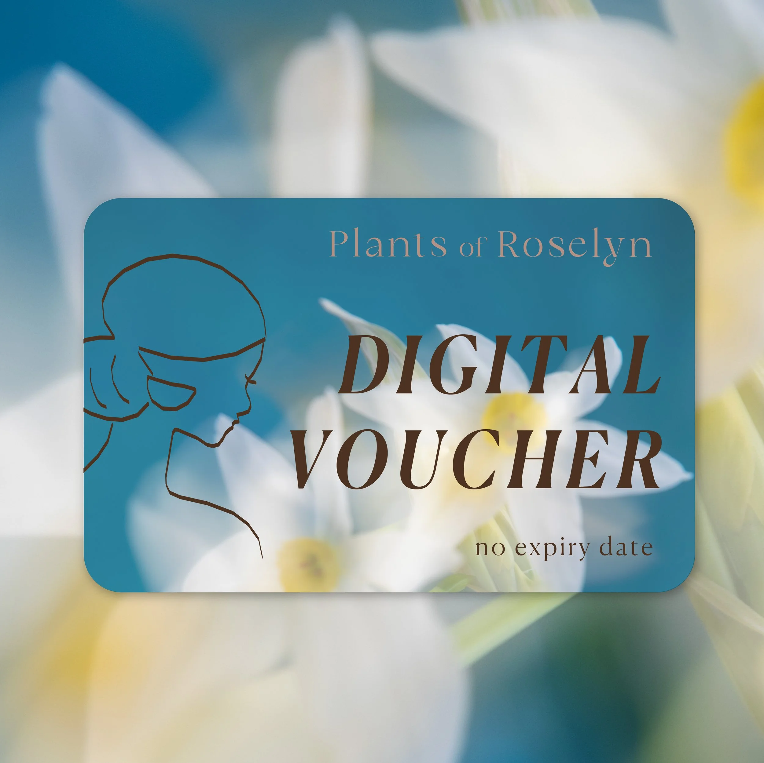Plants of Roselyn Voucher
