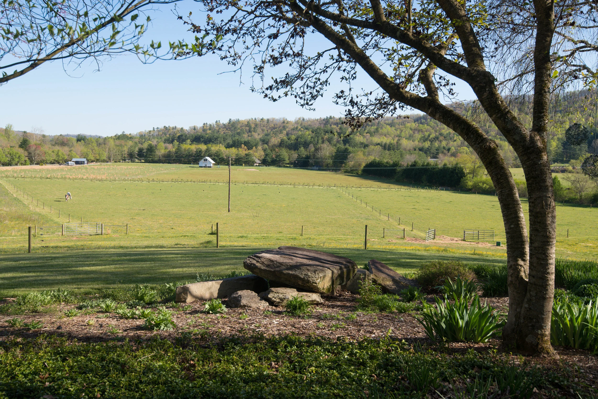 397 Bent River Farm Rd Pisgah-print-036-40-Image36-4200x2800-300dpi.jpg