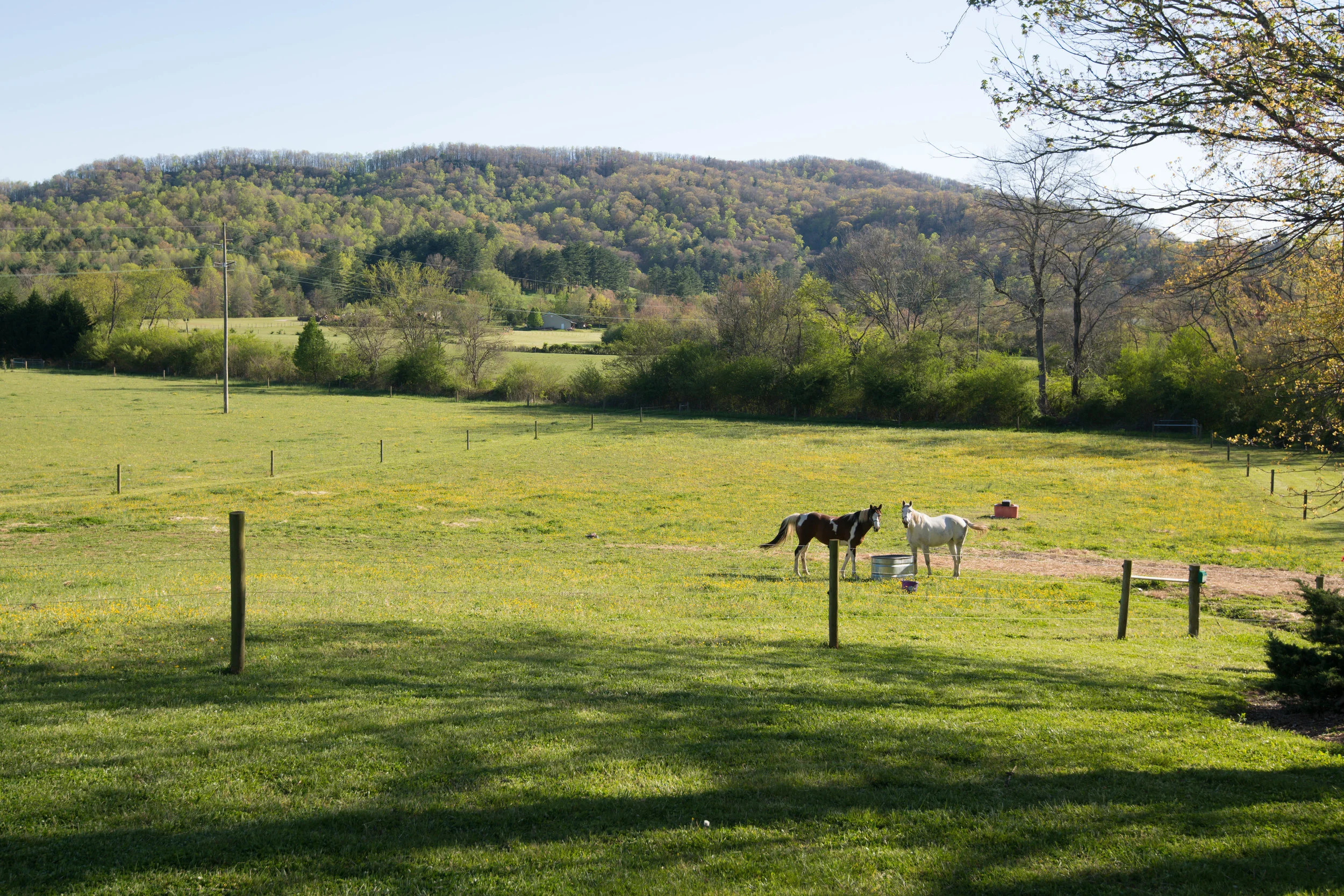 397 Bent River Farm Rd Pisgah-print-050-22-Image50-4200x2801-300dpi.jpg