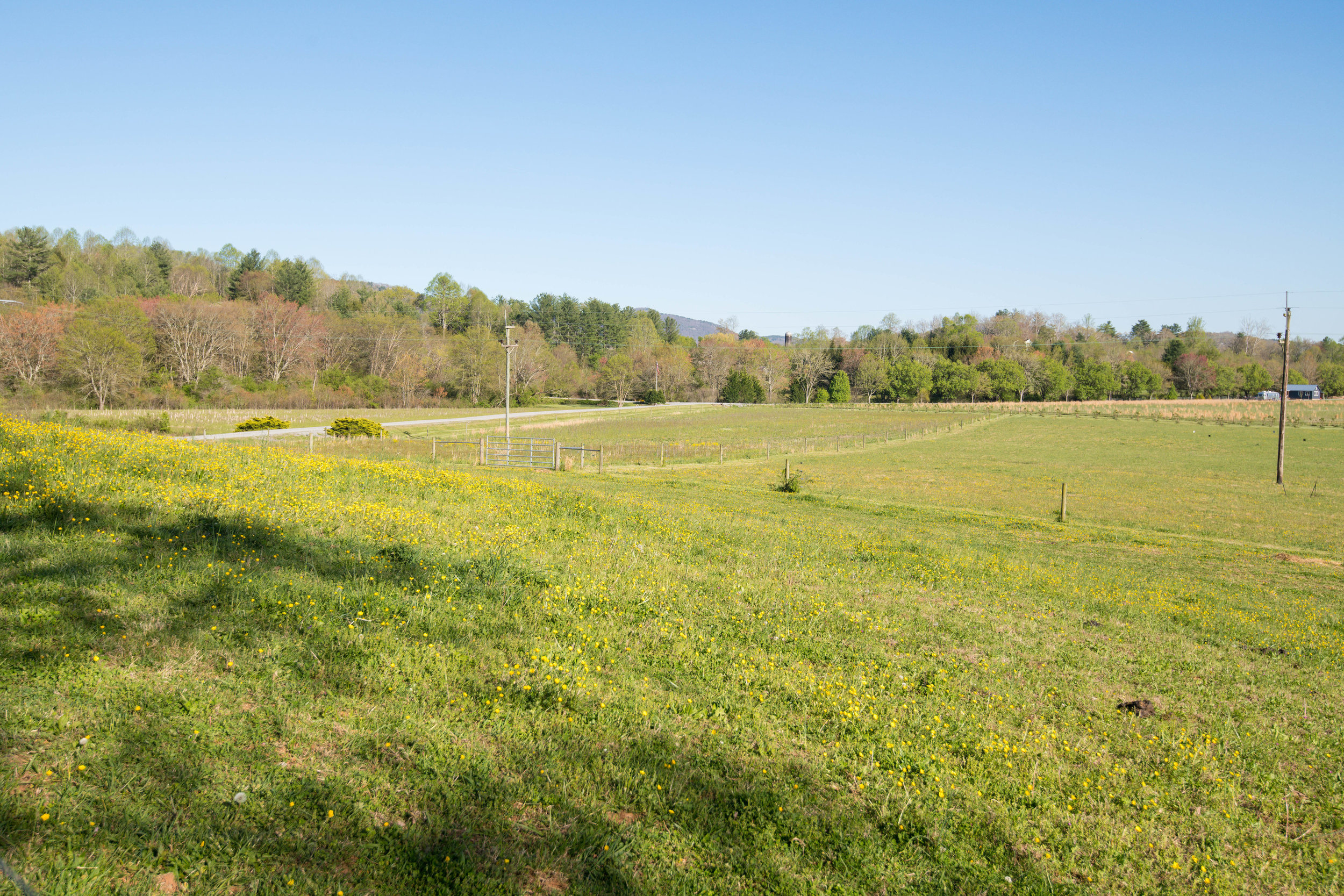 397 Bent River Farm Rd Pisgah-print-051-56-Image51-4200x2800-300dpi.jpg
