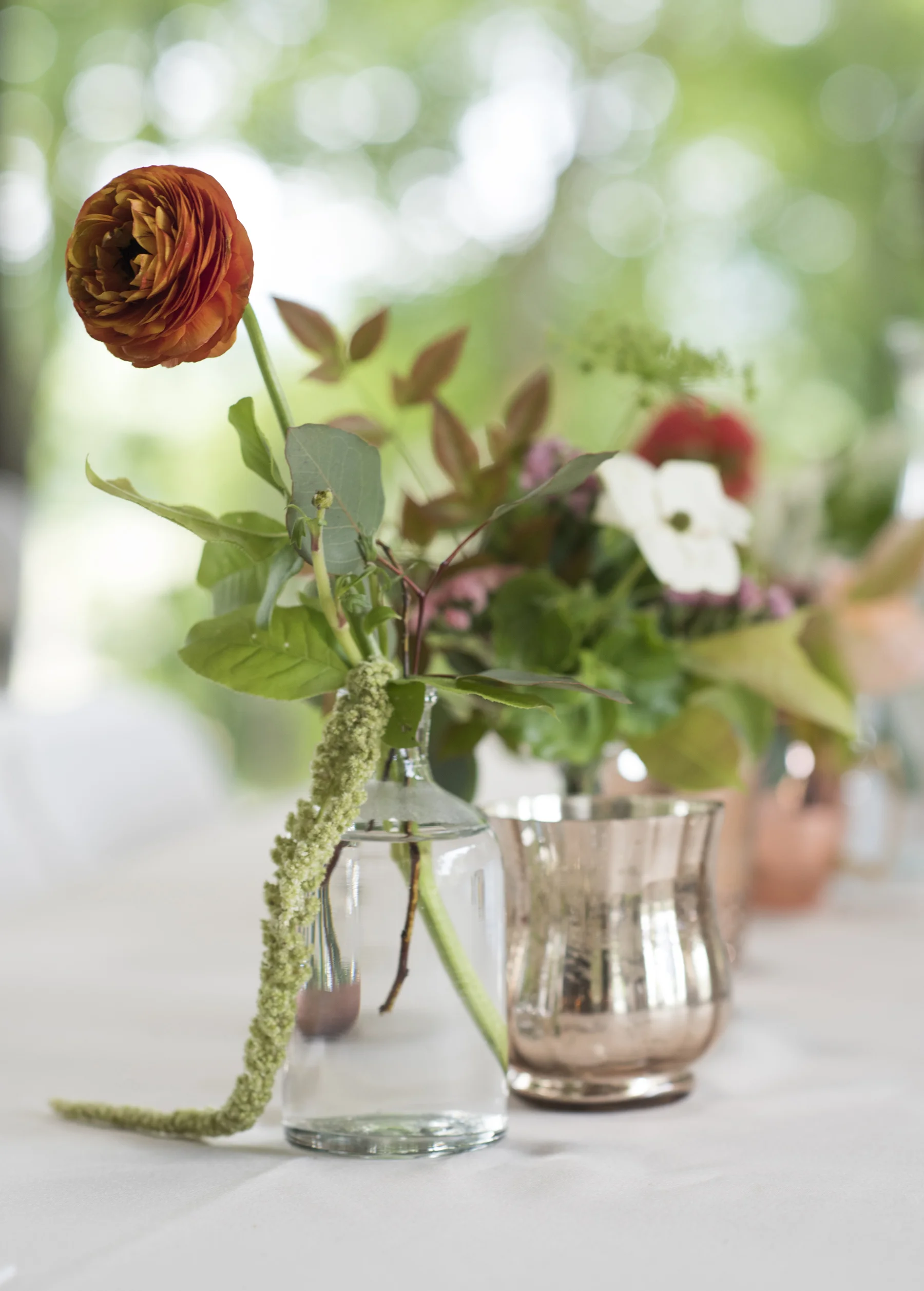 Bent River 16dsc_0845.JPG