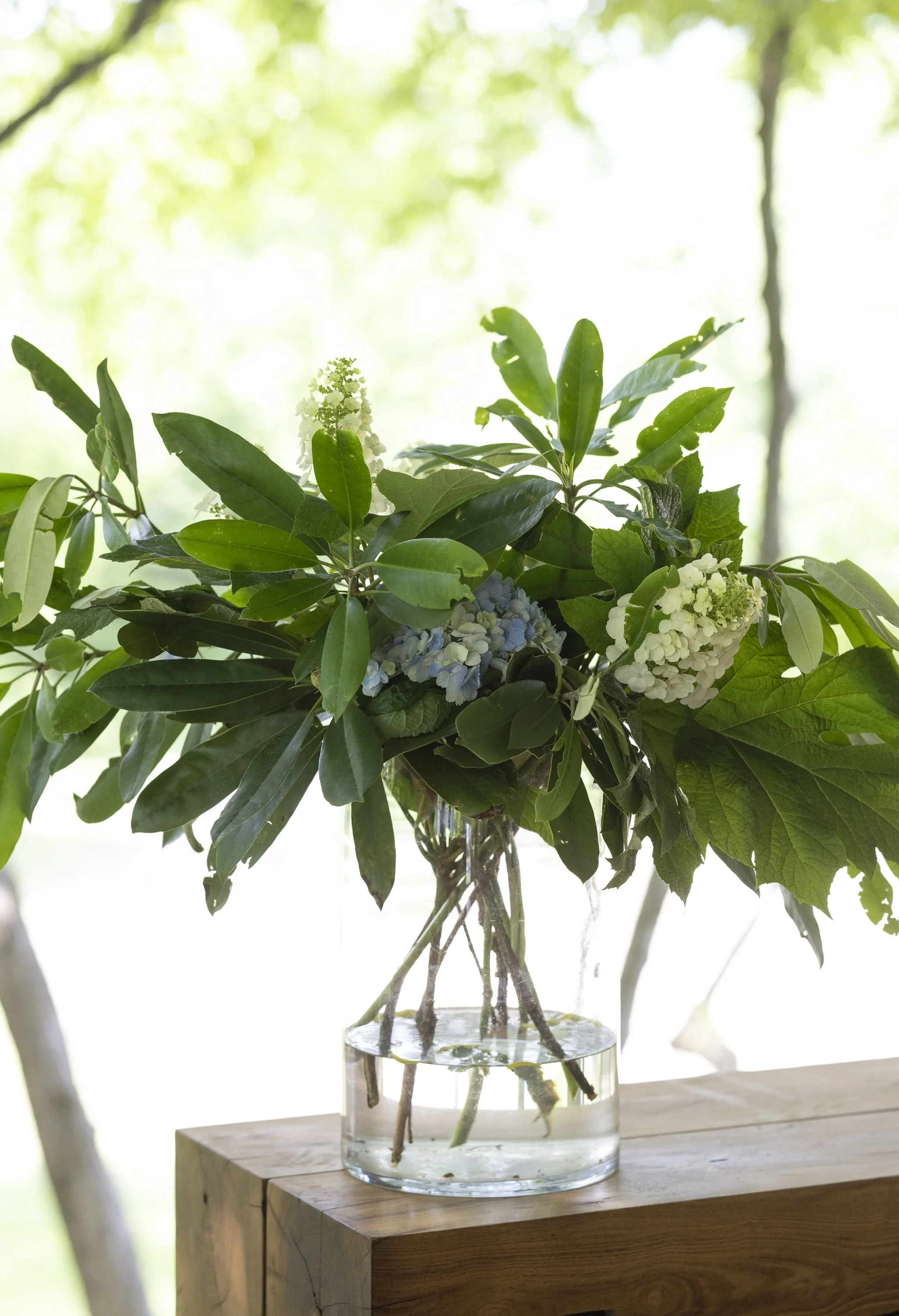 Bent River  6_4_22bw9_2280.JPG