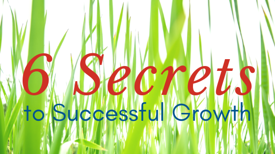 6 Secrets blog linkedin.png