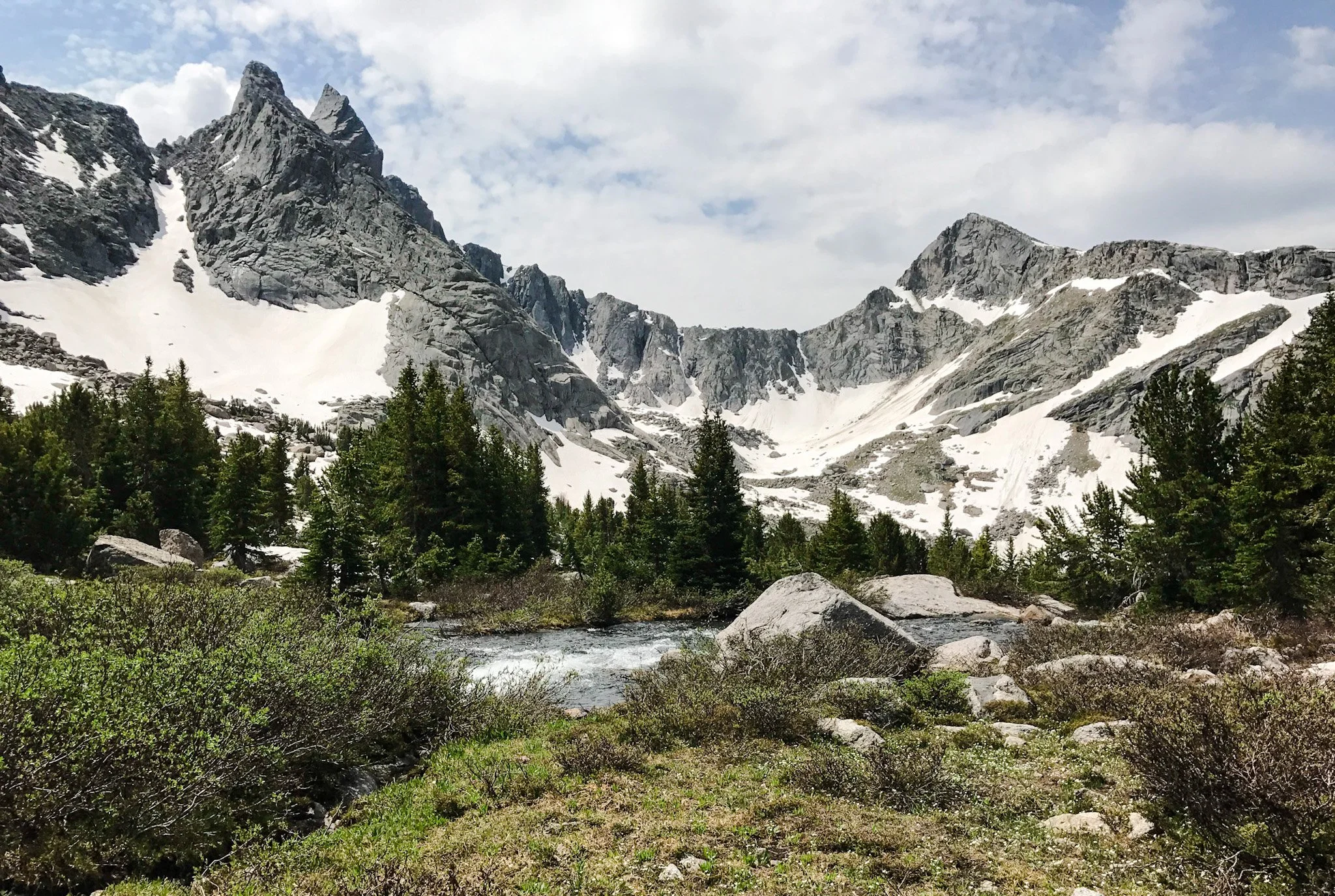 Brain Surgery Recovery: On My Mind