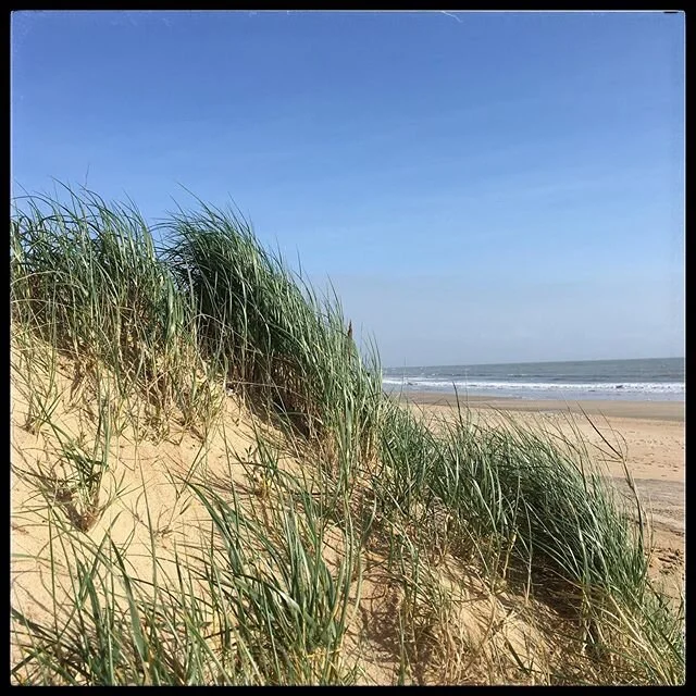 &Ccedil;a c&rsquo;&eacute;tait deux jours avant le confinement! Nous l&rsquo;appr&eacute;cierons encore plus apr&egrave;s!😍 #plagedesanneries #vacances #vacance #holiday #holidays #iledere #&icirc;ledere #location #locations #conciergerie #soleil #s