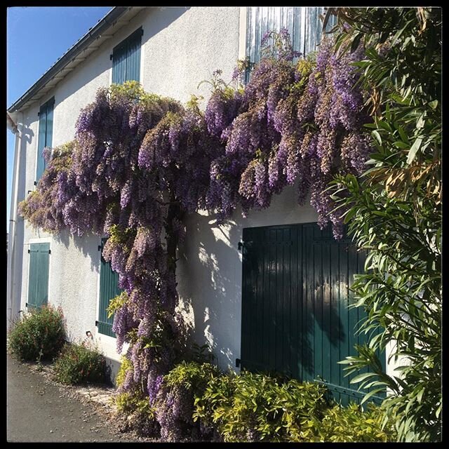 Au d&eacute;tour d&rsquo;une rue.

#prochainesvacances #vacances #vacance #holiday #holidays #iledere #&icirc;ledere #location #locations #conciergerie #soleil #sun #lacouarde #leboisplage #loix #saintmartin #luxe #vacancesenfamille #mesjoliesmaisons