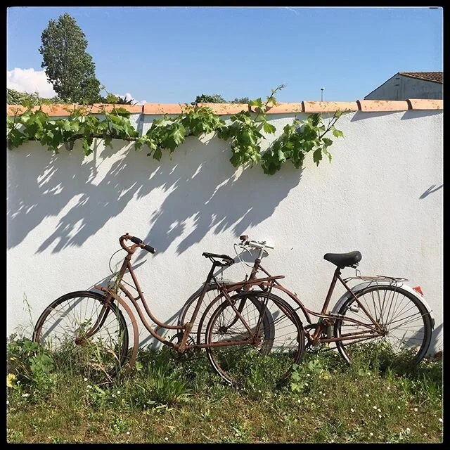 Quand tu n&rsquo;as plus le droit d&rsquo;utiliser ton v&eacute;lo!😅#v&eacute;looubli&eacute; #vacances #vacance #holiday #holidays #iledere #&icirc;ledere #location #locations #conciergerie #soleil #sun #lacouarde #leboisplage #loix #saintmartin #l