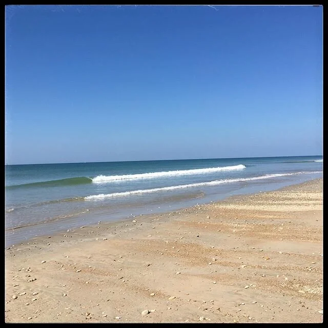Fl&acirc;ner &agrave; la plage, c&rsquo;est d&eacute;sormais autoris&eacute;!
#piquenique #bronzette #reouverturerestaurant #plage #vacances #vacance #holiday #holidays #iledere #&icirc;ledere #location #locations #conciergerie #soleil #sun #lacouard