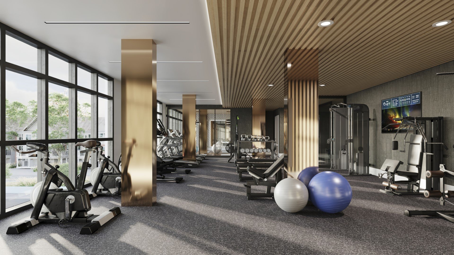 Linea - Fitness Studio.jpg