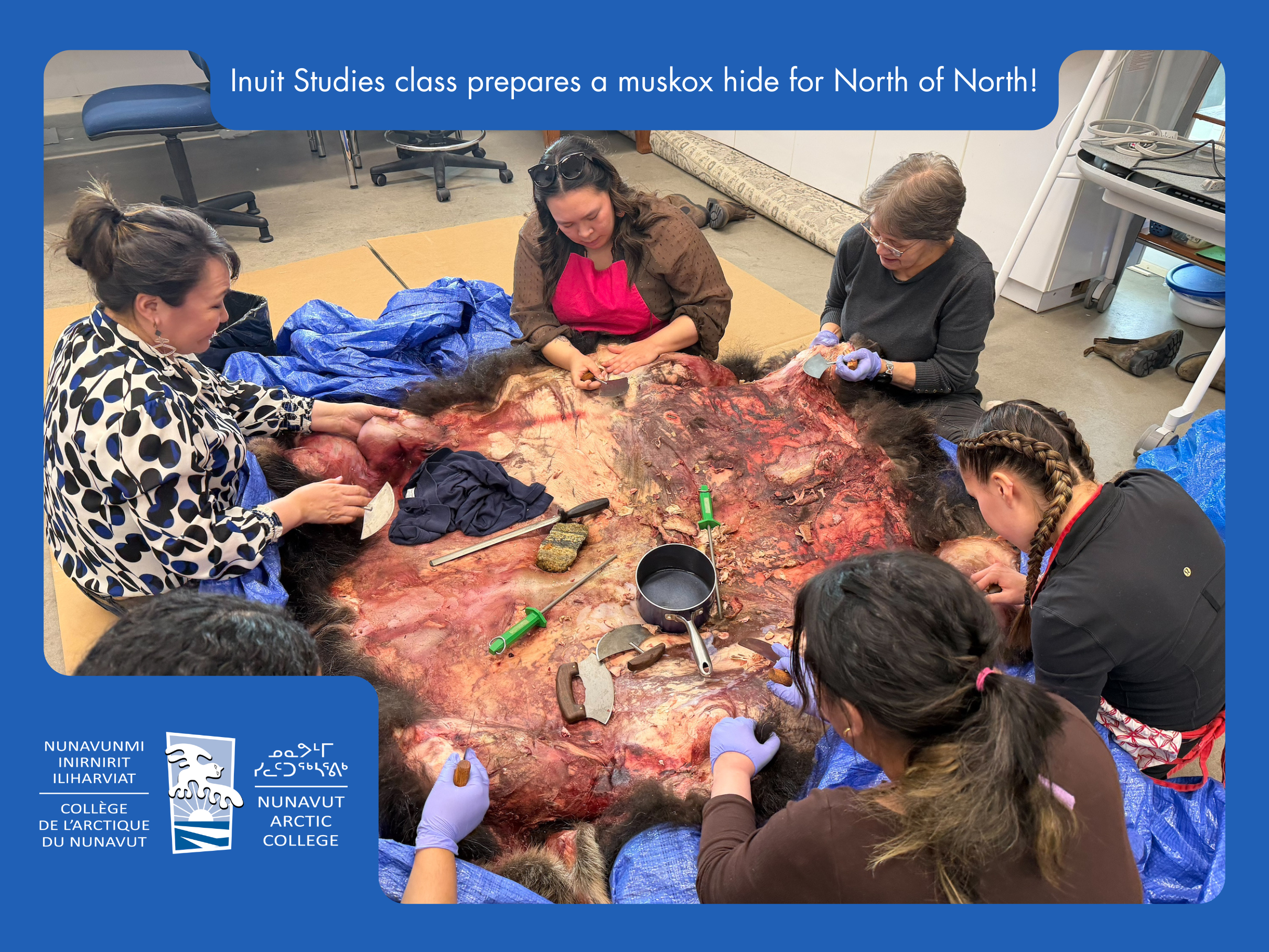 Students preparing muskox hide for the Season 2 of North of North