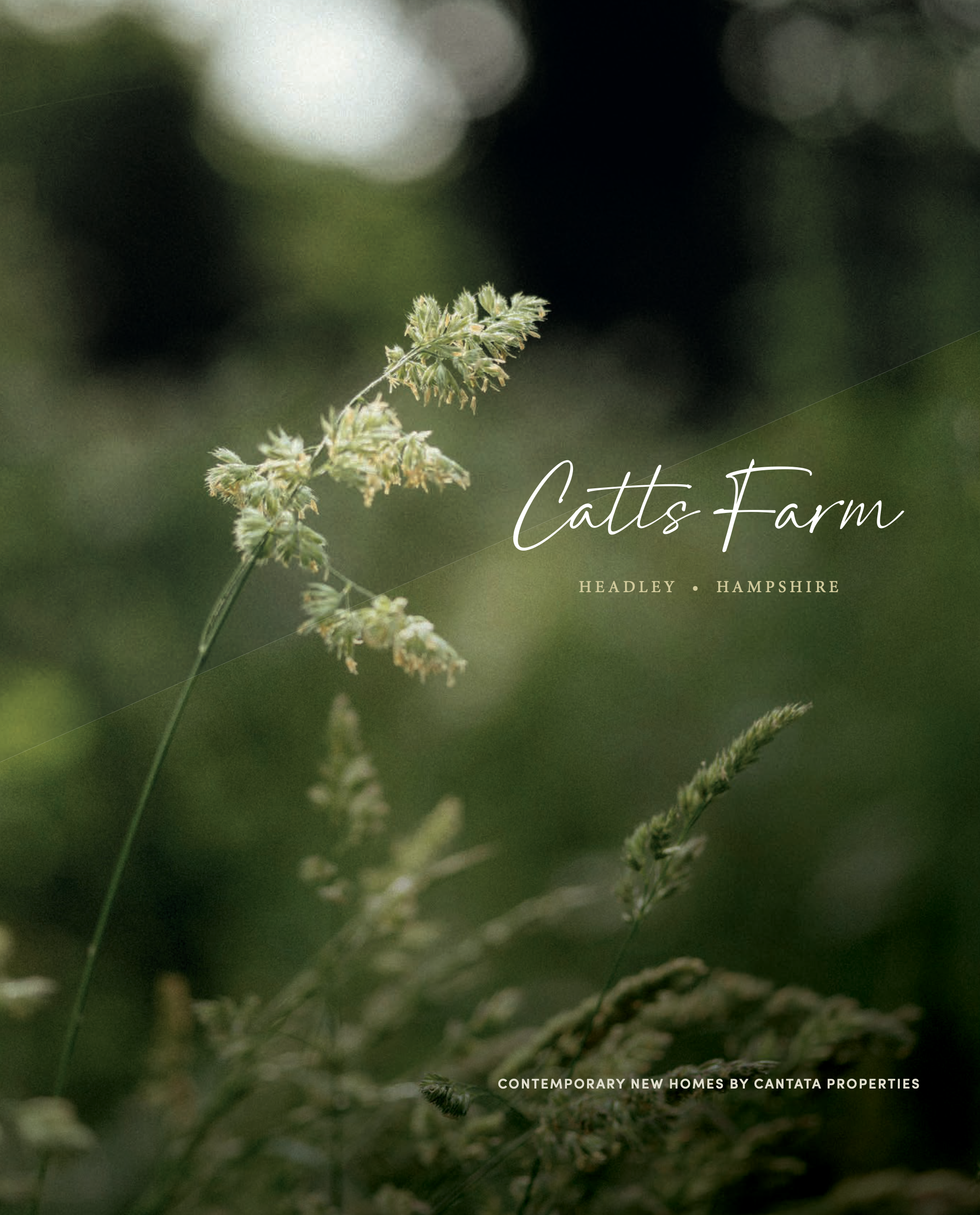 Brochure Front.png