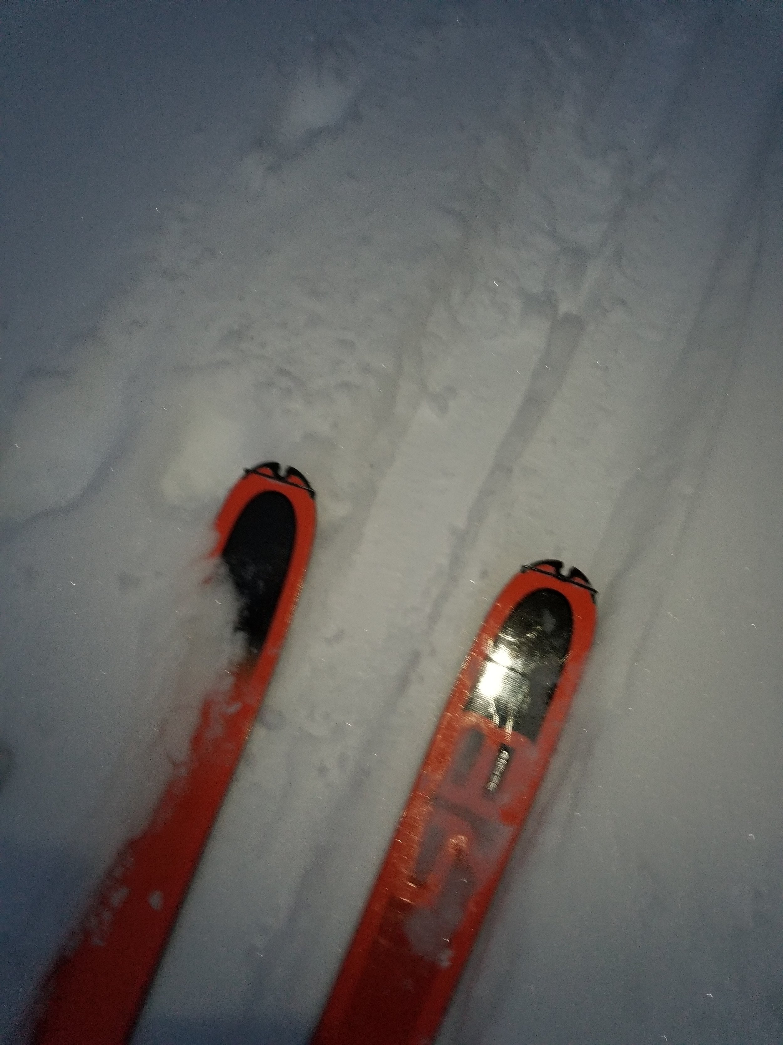 20190126_064822.jpg