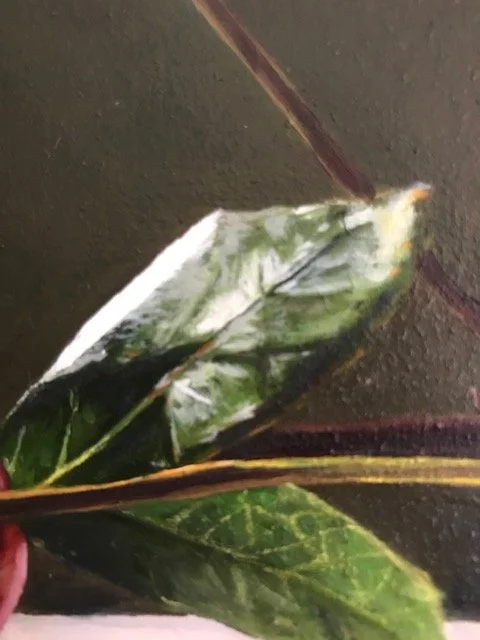  Work by Sara Walling, HCC Member 