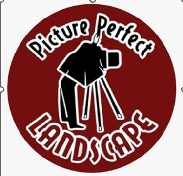 Picture perfect logo .png