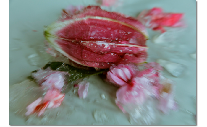 Ambrosia 2 prev.png