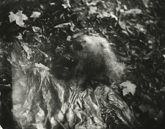 sally mann body farm